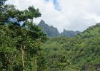i Tahiti (25)